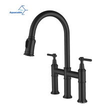 Aquacubic High Arc Cupc Bridge Kitchen Faucet with Pull-Down Sprayhead in Spot